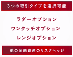 ラダーオプション・ワンタッチオプション・レンジオプション