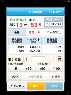 オプションの購入金額入力画面