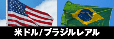 米ドルブラジルレアルのスワップポイント徹底解説！IG証券のドルレアル月間付与実績など掲載