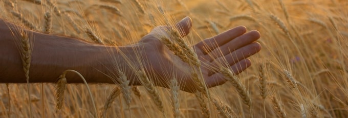 小麦のCFD取引に関するよくある質問