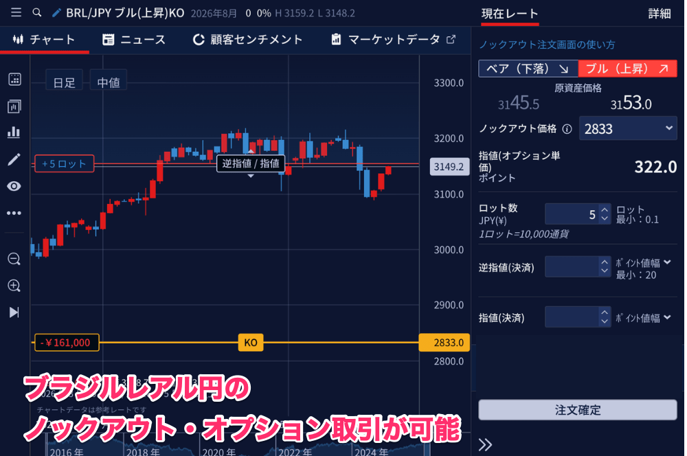 ブラジルレアル円取り扱い業者の解説