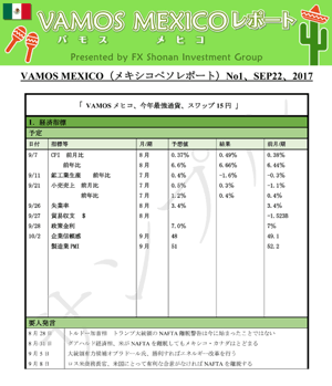 バモスメヒコレポート