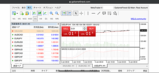 MT4・MT5のウェブ版をiPhoneで使うことも可能