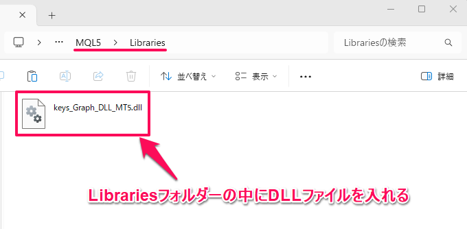 DLLファイルを入れます