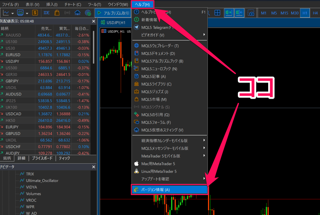 MT5のバージョン確認方法