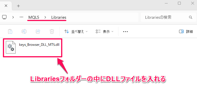 DLLファイルを入れます