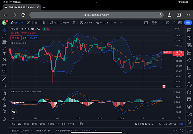 ブラウザ版のTradingViewをiPadで使う