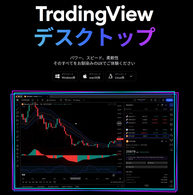トレーディングビューの初期化、アカウント削除の方法