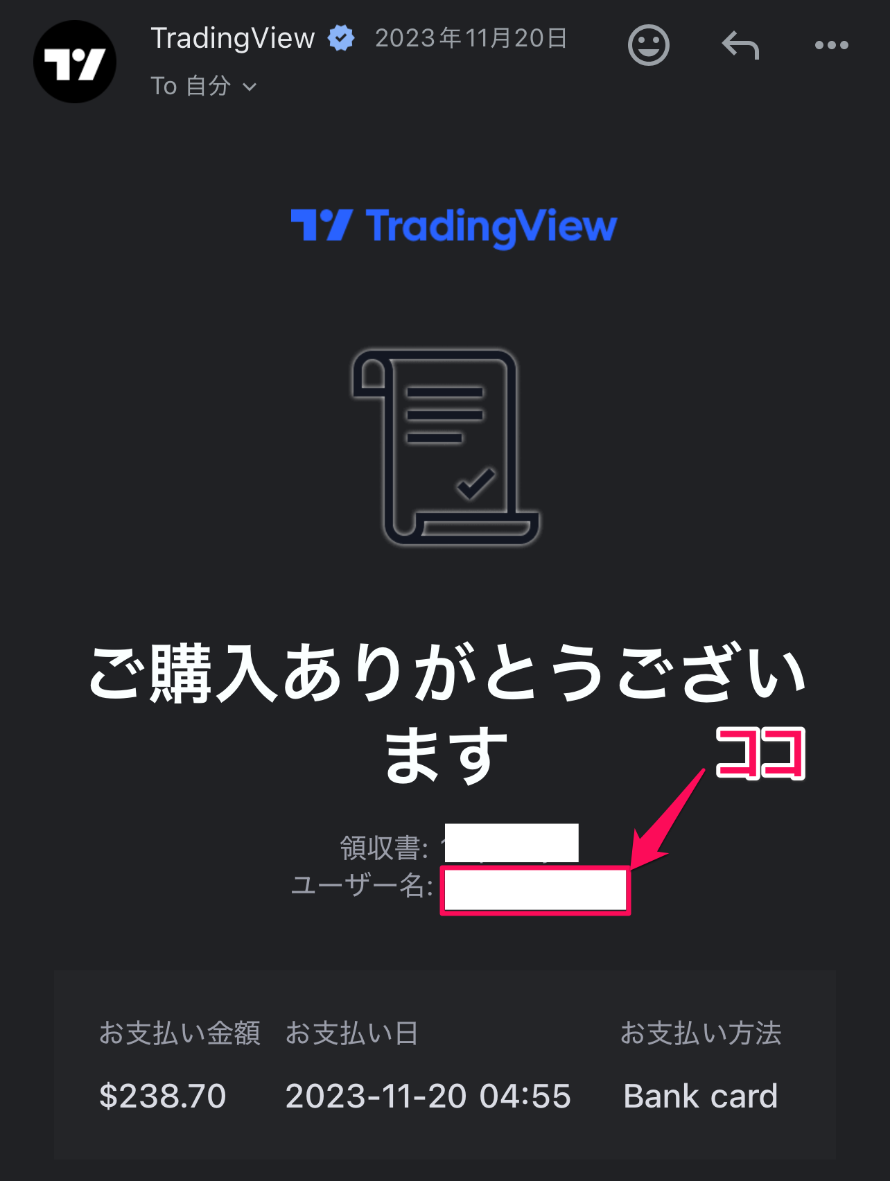 TradingViewの支払い方法・手順