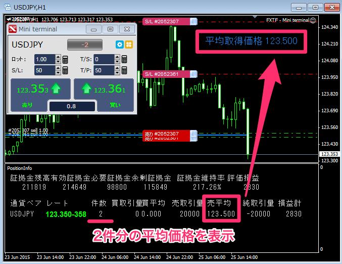 残高情報のほか、   通貨ペアごとにポジションや評価損益を合算で表示