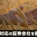 小麦（小麦先物）CFD対応の証券会社を徹底比較！