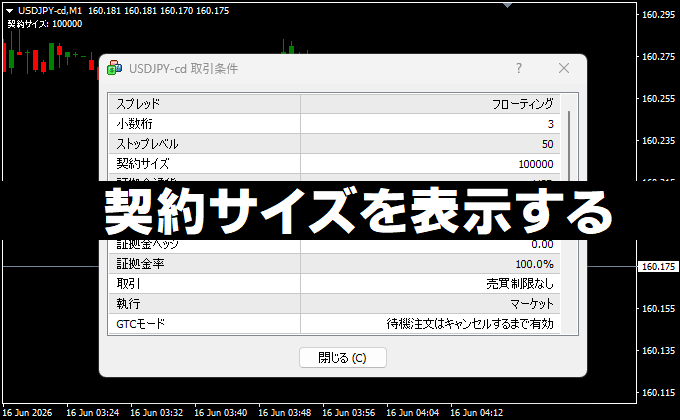 契約サイズを表示するインジ